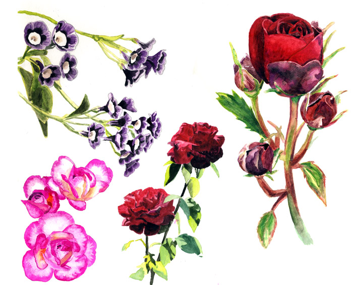 flower_4.jpg