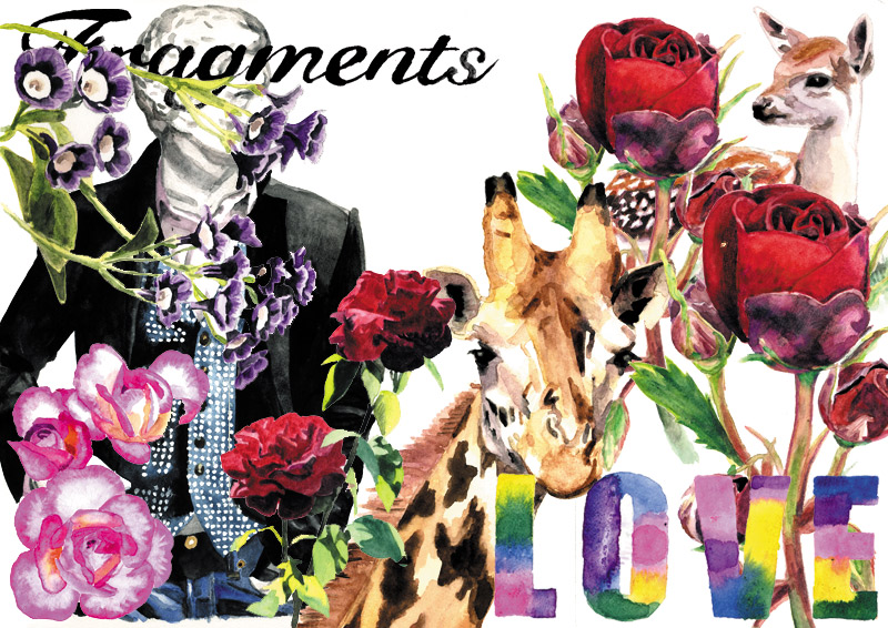 fragments_top.jpg