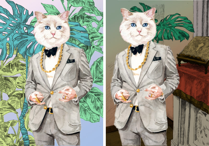 room_cat.jpg